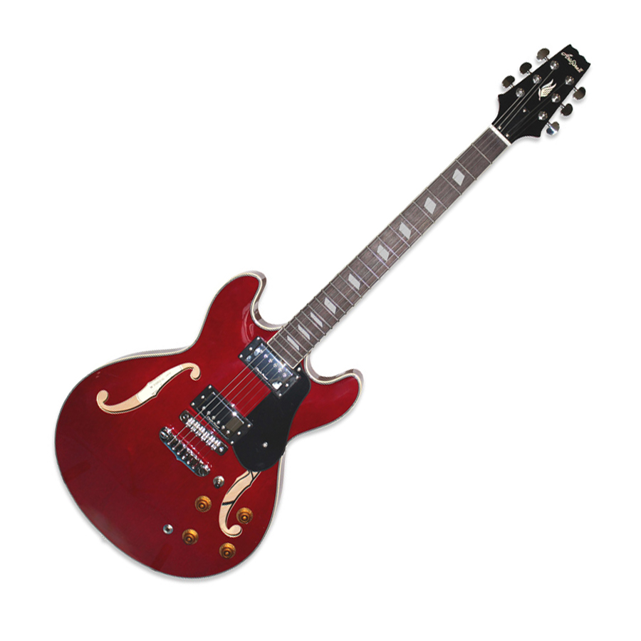 Aria TA Classic Electric Guitar Arched Top Guitar Nottingham Aria